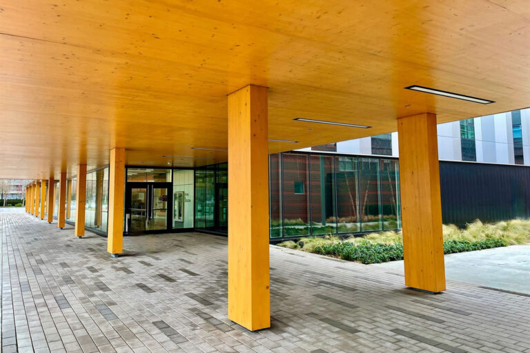 mass timber GLT design columns architecture